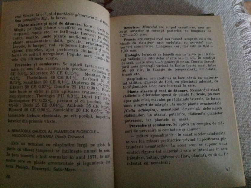  - Dăunător in pământ vierme alb de turba?