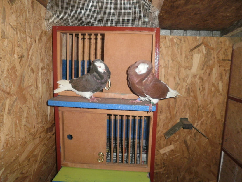 P1030005 - Matca 2018