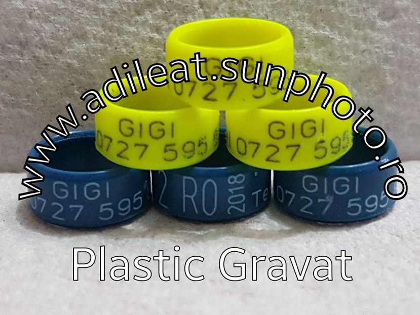 2017-12-30_11-25-16-560 - 1-A-INELE PERSONALIZATE 2018