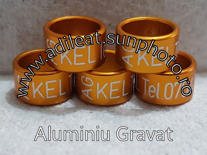 2017-12-30_11-26-09-454 - 1-A-INELE PERSONALIZATE 2018