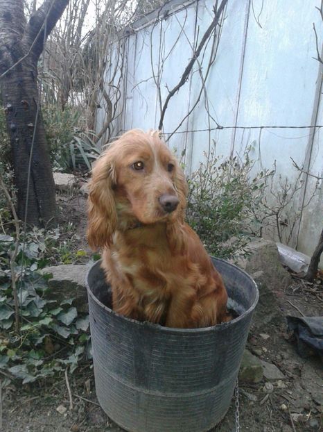 received_2022910381320973 - Paza si prieteni adevarati