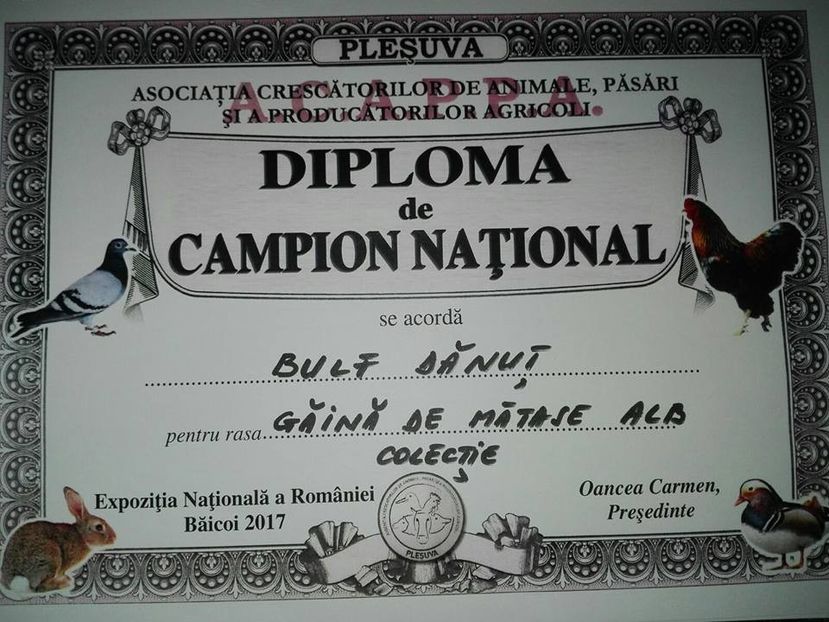 NATIONAL COLECTIE - Rezultate obtinute