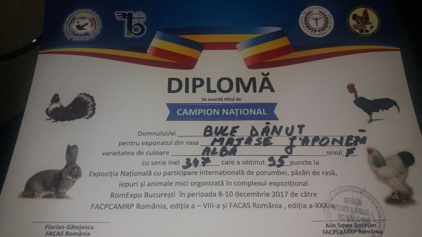 BUCURESTI 2017 - Rezultate obtinute