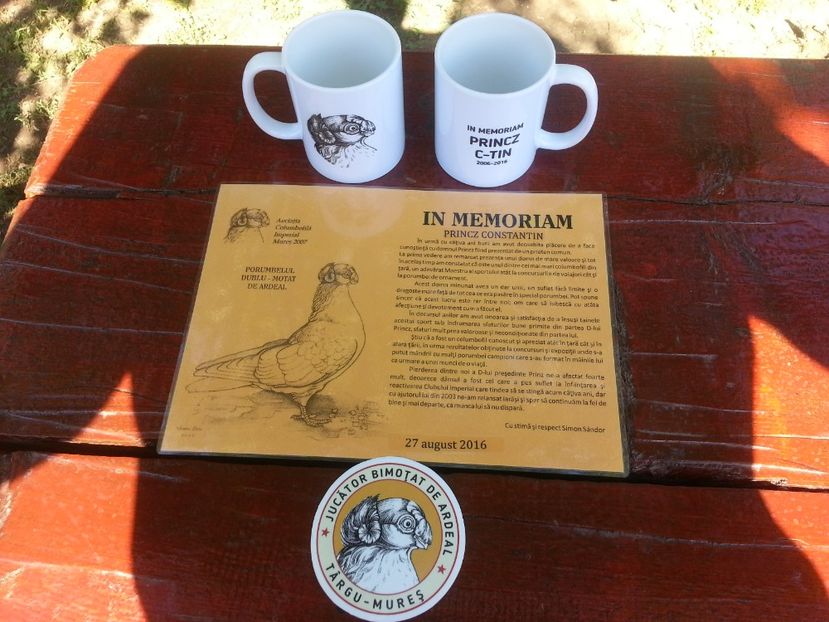 20160827_105622 - Copy - trofee obtinute de porumbei mei-dijaim