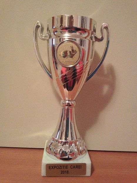  - REZULTATUL IEPURILOR!!!