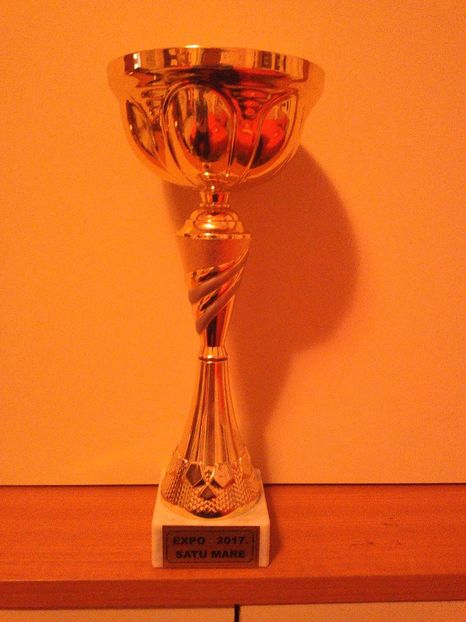  - REZULTATUL IEPURILOR!!!