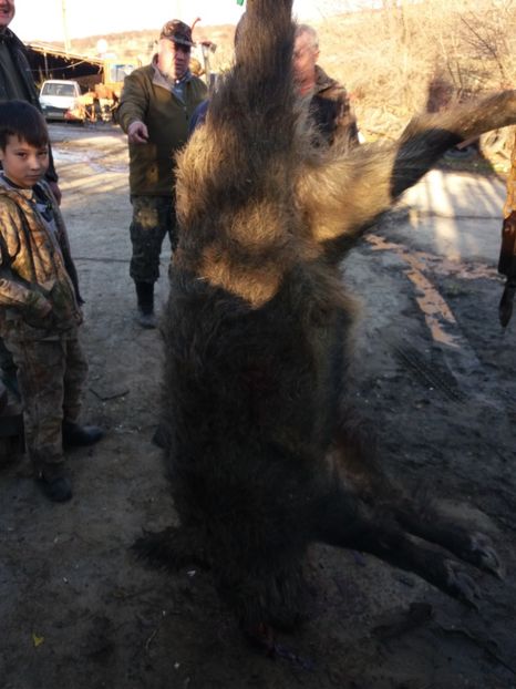  - vanatoare si pescuit