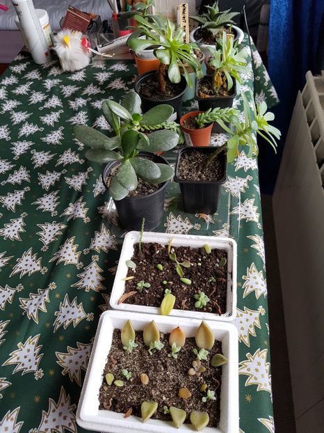 Gradinita - In asteptarea primaverii 2018