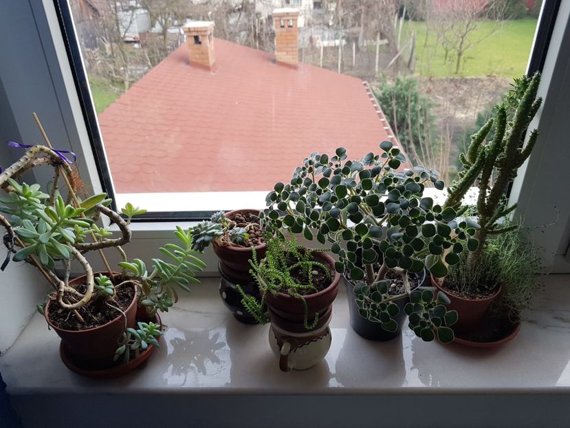  - In asteptarea primaverii 2018