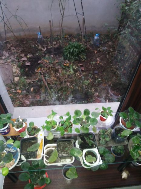  - Idei de pus in practica