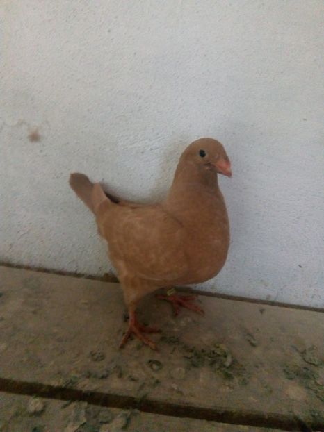 01   2017 - dec 2017