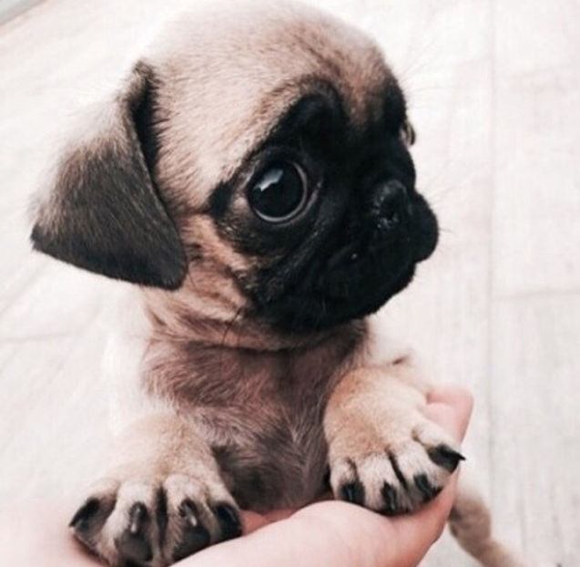  - Reality is only seen when the mirror is clean