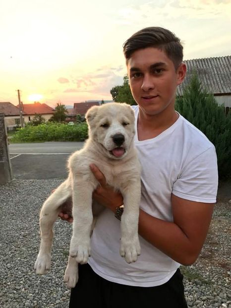  - 1 Căței Asia Centrală 2017-2018