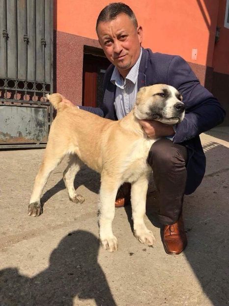  - 1 Căței Asia Centrală 2017-2018