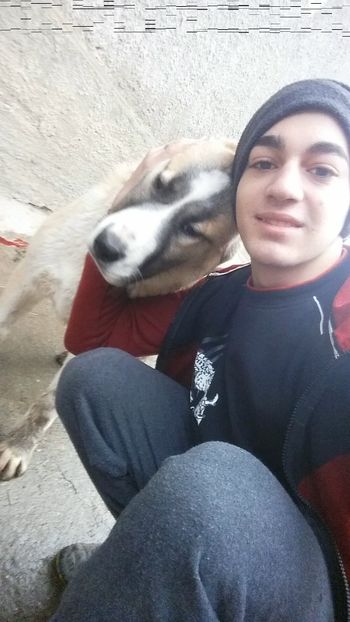 Snapchat-943483507 - 1 Căței Asia Centrală 2017-2018