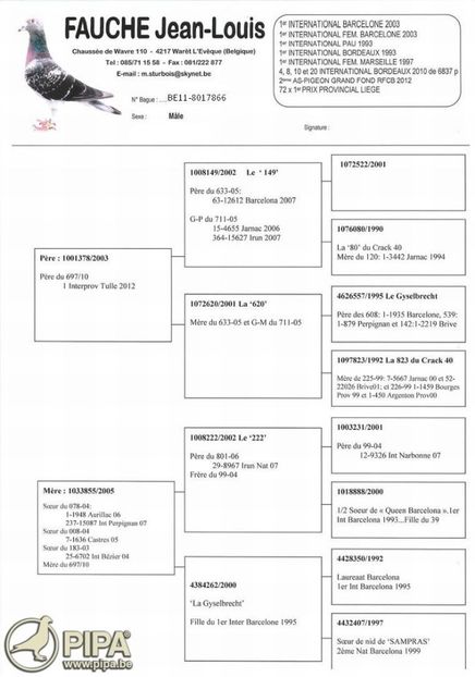 fauche_freres_1._nat._narbonne_oude_duiven_pedigree - cuplul 10 2o18