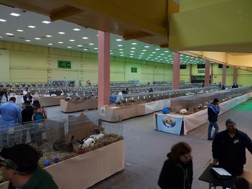  - 2017-Exp Nationala RO-Bucuresti