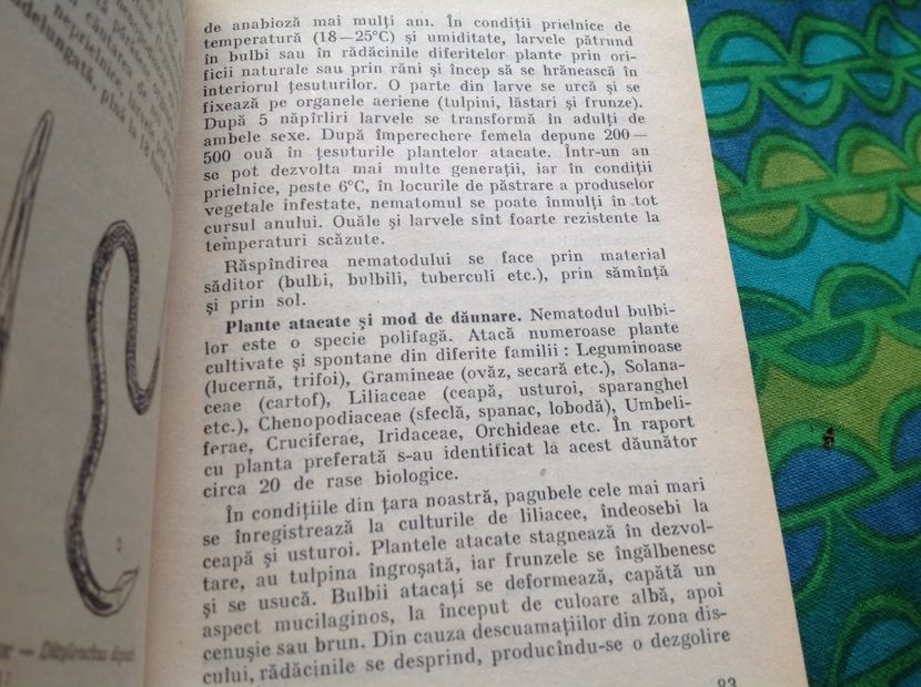  - Dăunător in pământ vierme alb de turba?