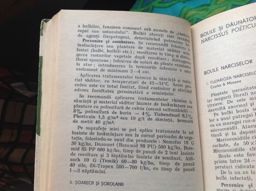  - Dăunător in pământ vierme alb de turba?