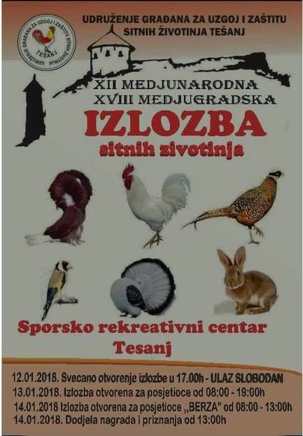  - T--TARGURI SI EXPOZITII