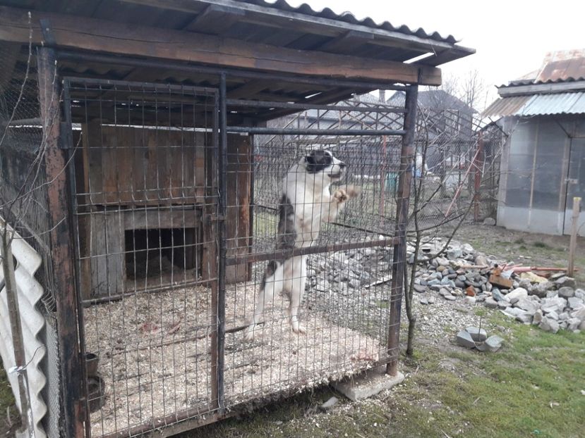 11 - 02 -2018 - ASIA - CENTRALĂ