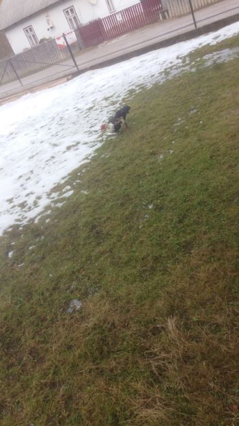  - 01 - Matca pentru 2018