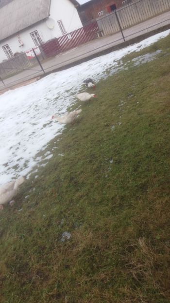 Dupa plata si rasplata... - 01 - Matca pentru 2018