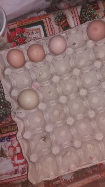 Si gainile au inceput... - 01 - Matca pentru 2018