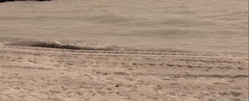 bandicam 2018-01-12 13-00-18-021 - A - Tu esti vara mea