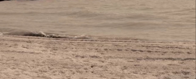 bandicam 2018-01-12 13-00-18-211 - A - Tu esti vara mea