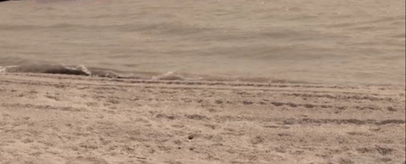 bandicam 2018-01-12 13-00-18-382 - A - Tu esti vara mea