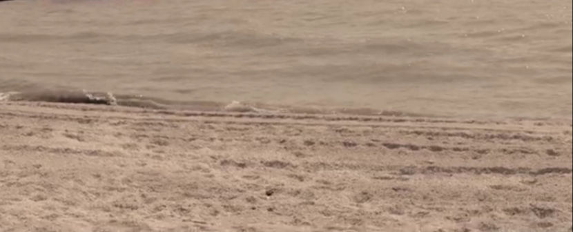 bandicam 2018-01-12 13-00-18-594 - A - Tu esti vara mea