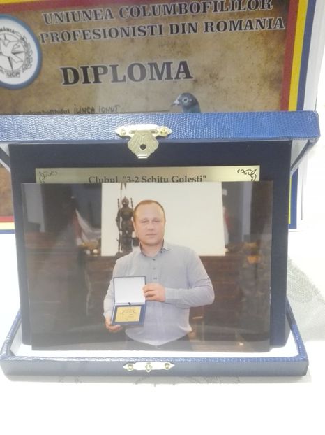  - Rezultatele mele în 2017