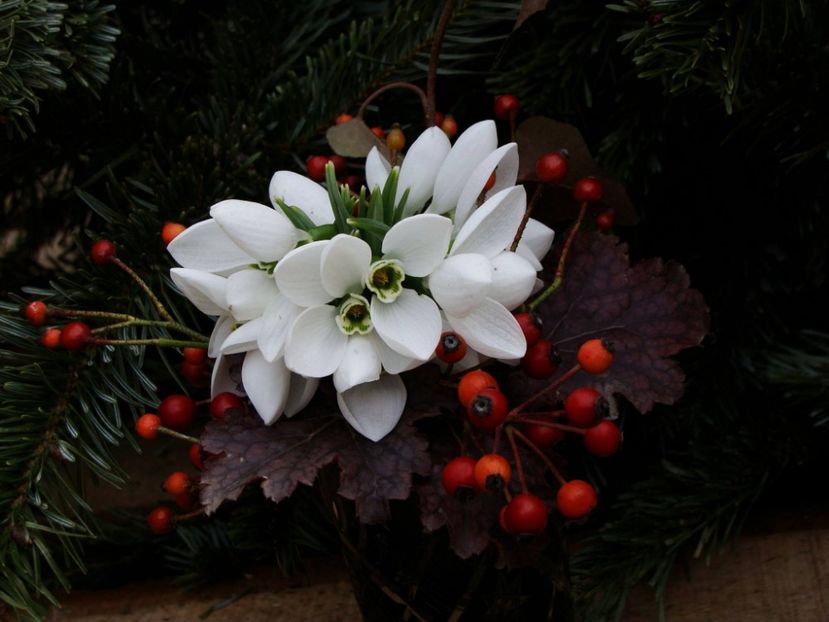 Primul buchet de flori pe 2018 - Ianuarie 2018 - Februarie 2018