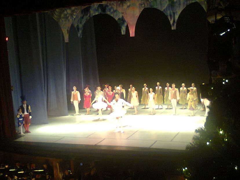 Fotografie3455 - 2018 SEARĂ DE BALET