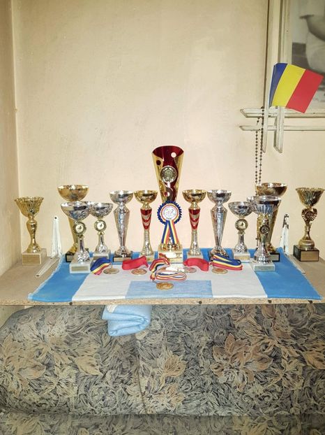 received_1916473928668640 - diplome medalii cupe 2014 2015 2016 2017 La Jucători de Galați pentru Joc și Zbor
