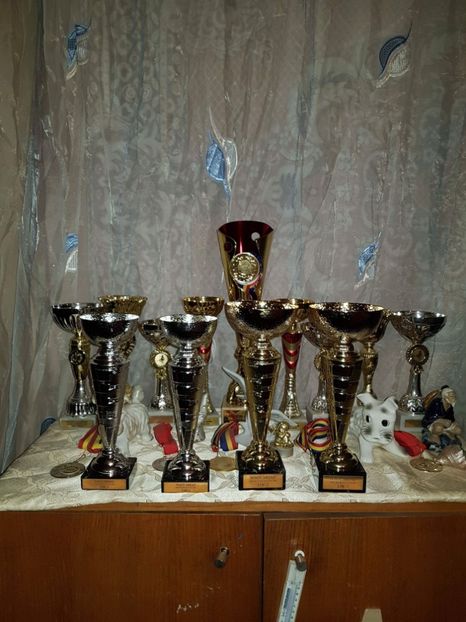 received_1916039668712066 - diplome medalii cupe 2014 2015 2016 2017 La Jucători de Galați pentru Joc și Zbor
