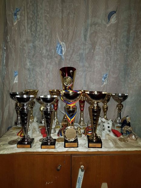 received_1916039648712068 - diplome medalii cupe 2014 2015 2016 2017 La Jucători de Galați pentru Joc și Zbor