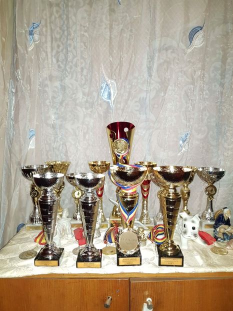 received_1916039462045420 - diplome medalii cupe 2014 2015 2016 2017 La Jucători de Galați pentru Joc și Zbor