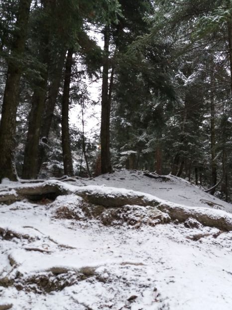  - A c a s a   e locul unde ti-e inima