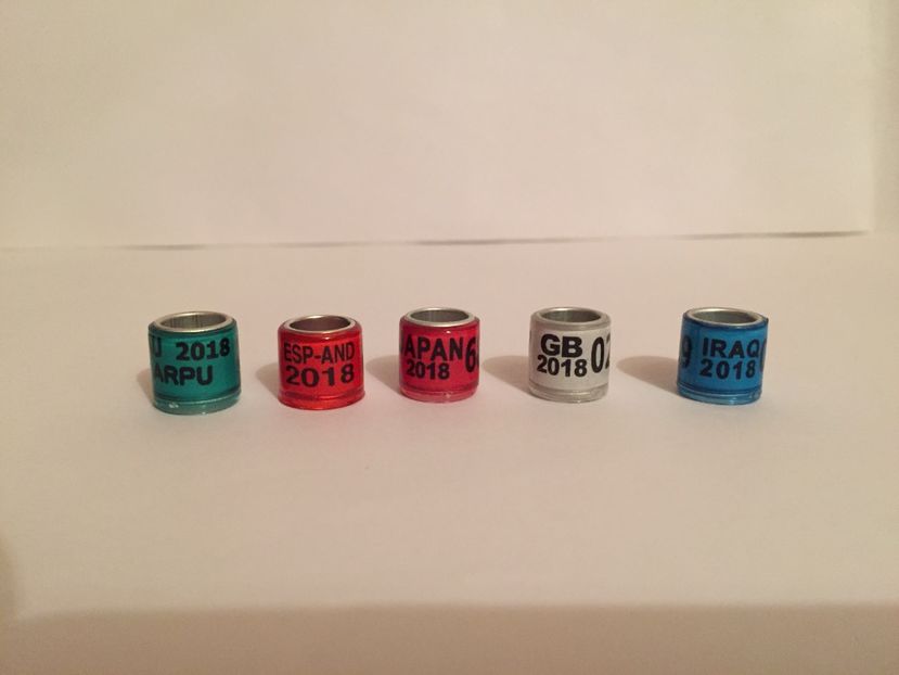  - Inele Tari Straine colecție 2018