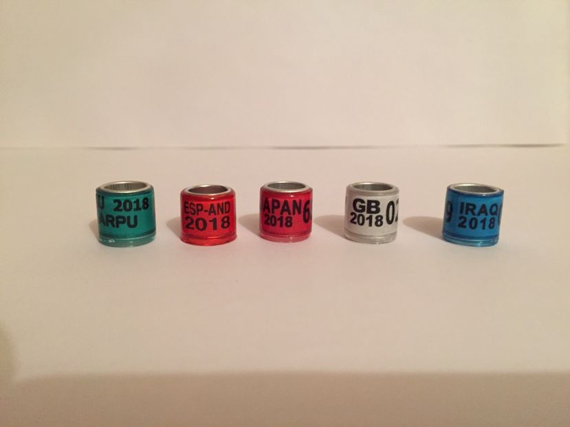  - Inele Tari Straine colecție 2018