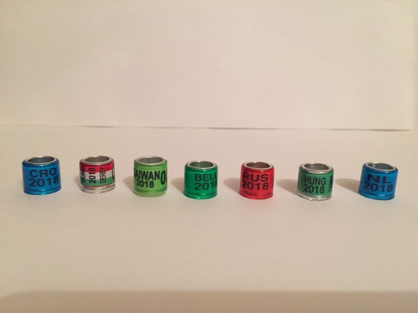  - Inele Tari Straine colecție 2018