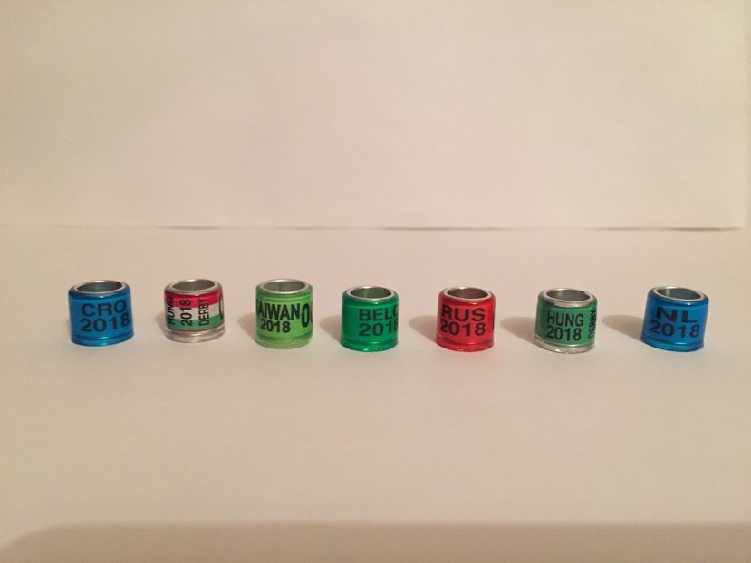  - Inele Tari Straine colecție 2018