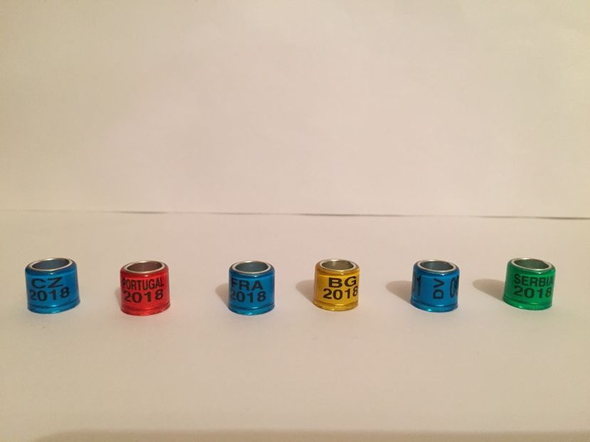  - Inele Tari Straine colecție 2018