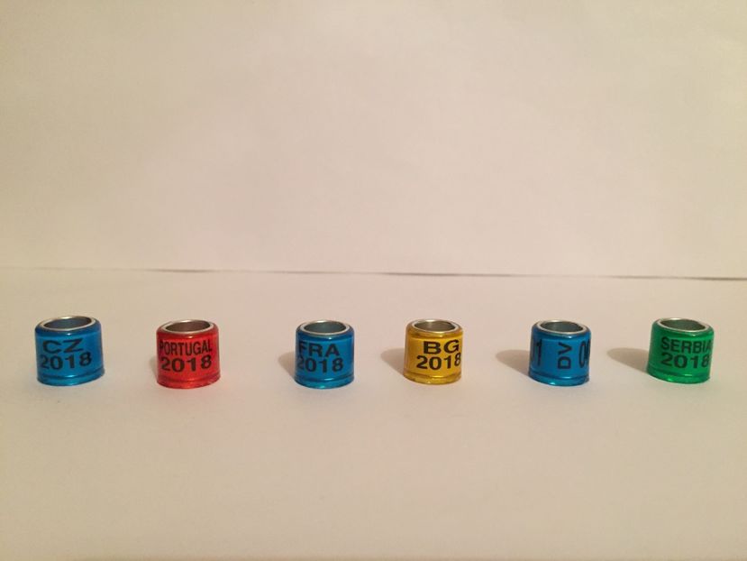  - Inele Tari Straine colecție 2018