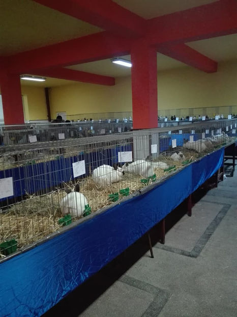  - Expo MEHEDINTI 2018