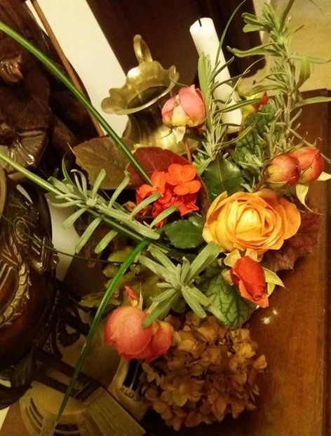 lavanda, hortensia, muscata) - 2018 plantele mele