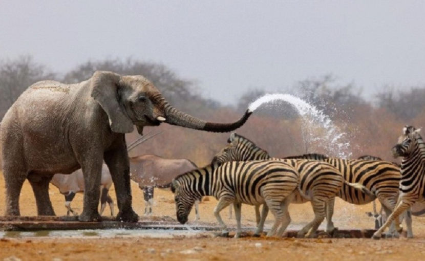  - NATURA ȘI SURPRIZELE EI