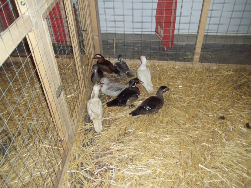  - Expo MEHEDINTI 2018